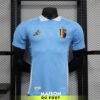 Maillot Match Belgique Extérieur 2024-2025