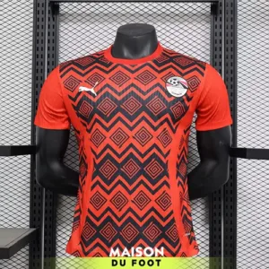 Maillot Match Egypte Entrainement 2024/2025
