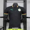 Maillot Match Sénégal Edition Spécial 2024/2025