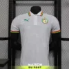 Maillot Match Sénégal Edition Spécial Blanc 2024/2025