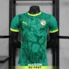 Maillot Match Sénégal Extérieur 2024/2025