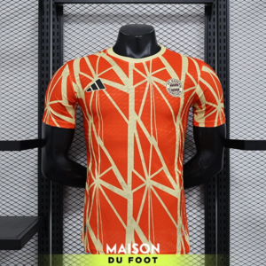 Maillot Match Bayern Munich Entrainement 2024/2025