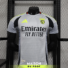Maillot Match Benfica Third 2024/2025