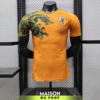 Maillot Match Japon Concept Shenron 2024/2025