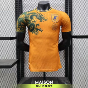Maillot Match Japon Concept Shenron 2024/2025