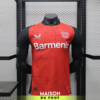 Maillot Match Leverkusen 2024/2025