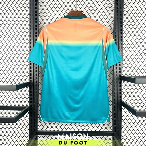 maillot-australie-exterieur-coupe-du-monde-2026-2