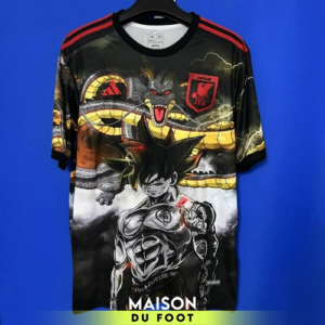 Maillot Japon Concept Dragon Ball 2025/2026 - vue de face
