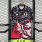 Maillot Japon Concept Karasu 2025/2026 - vue de face